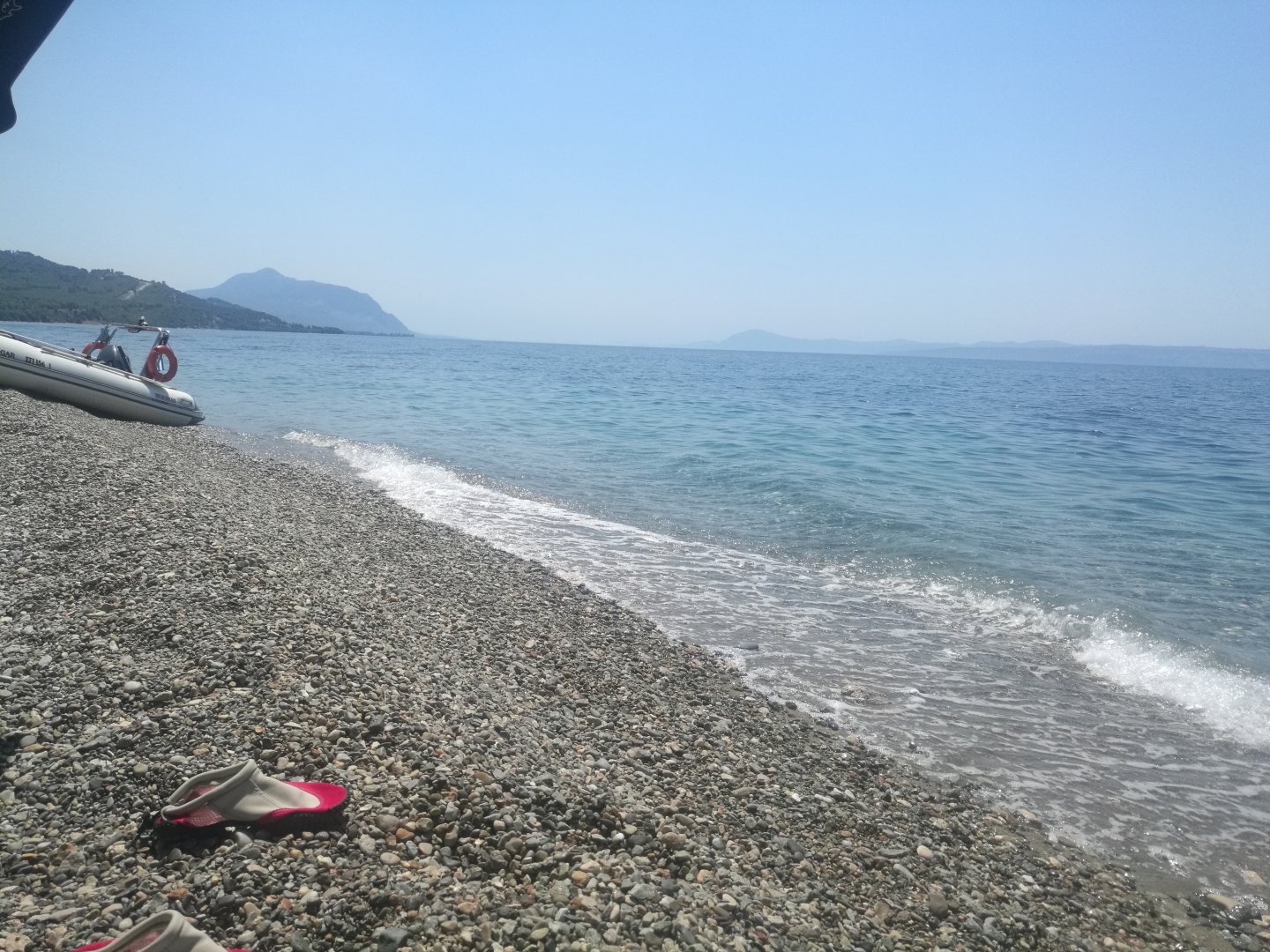IMG_20200725_121758.jpg