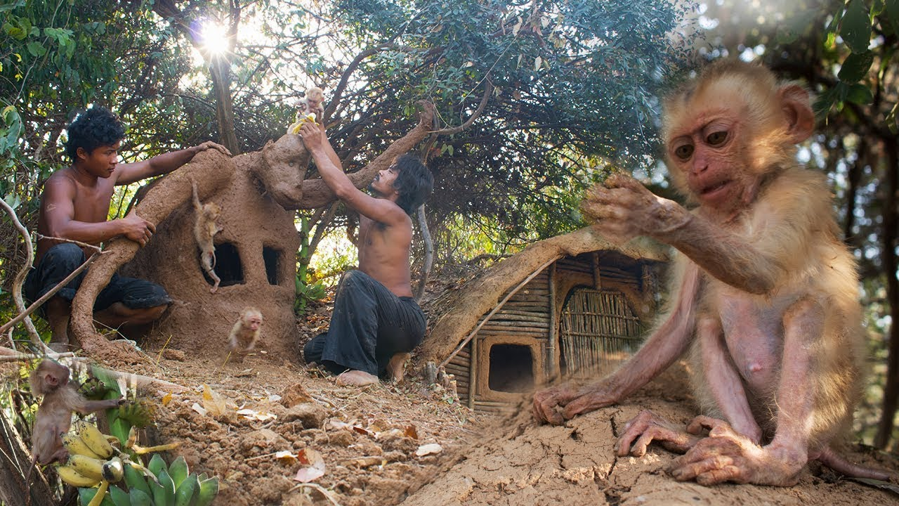1605018729689.png