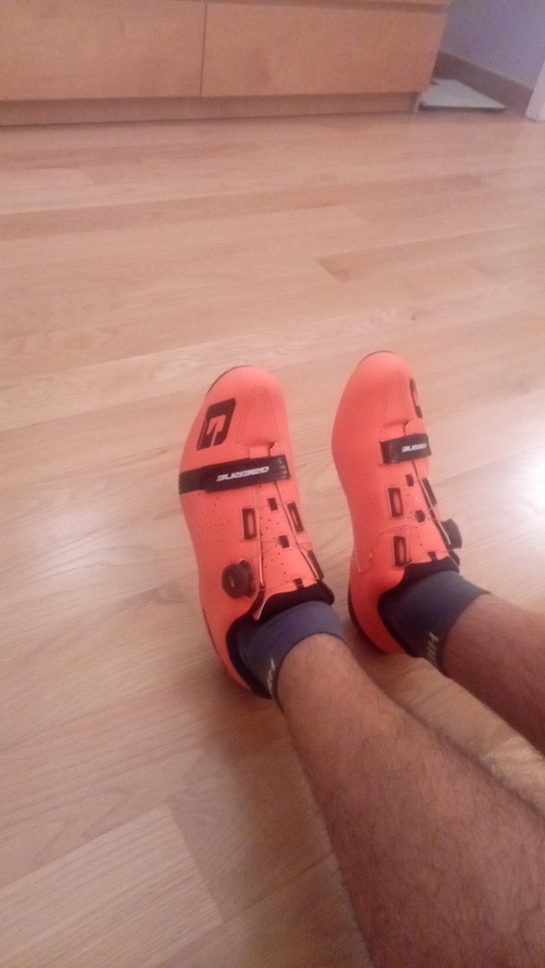 20201112_163350.jpg