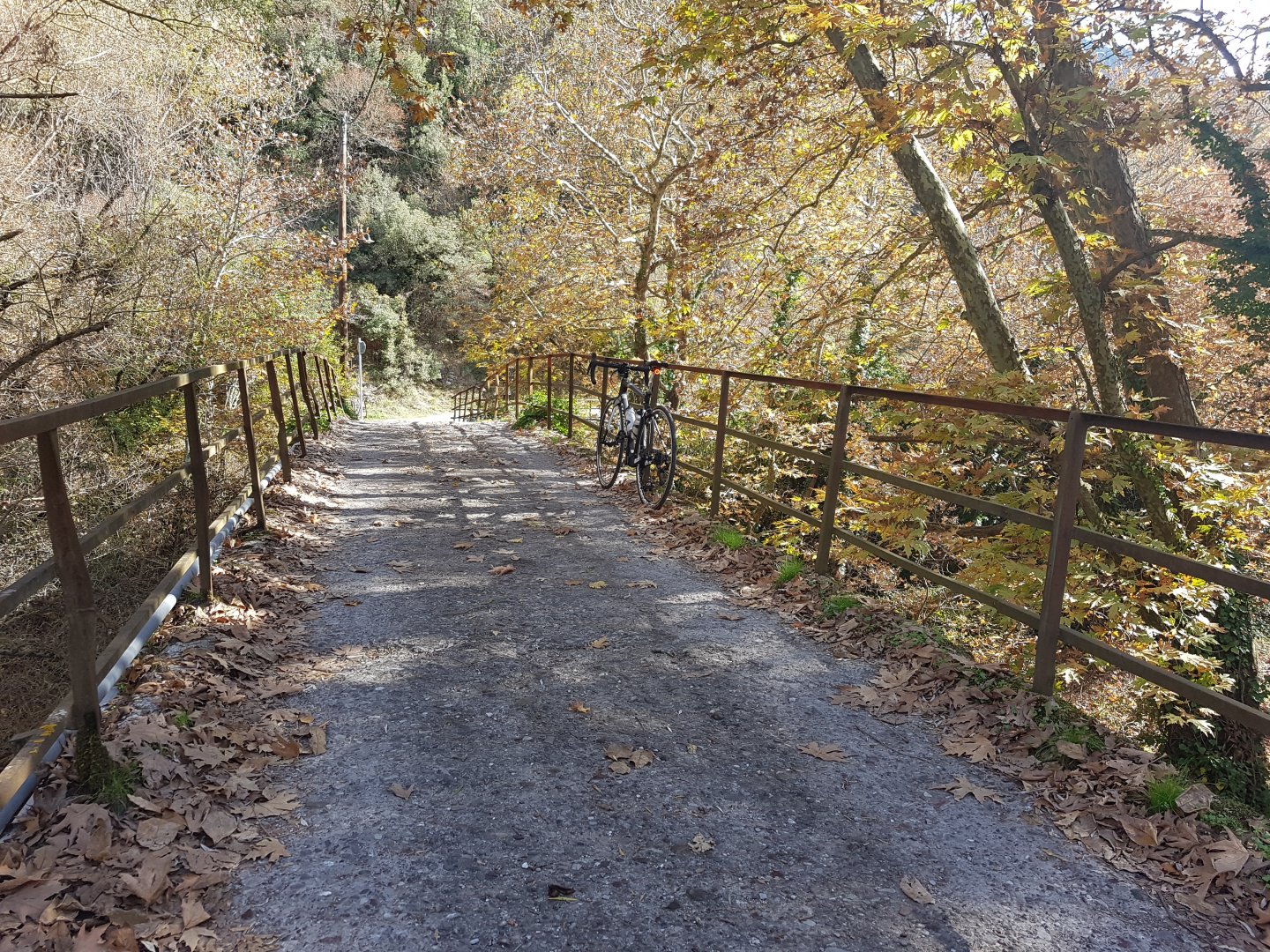 20201114_124423.jpg