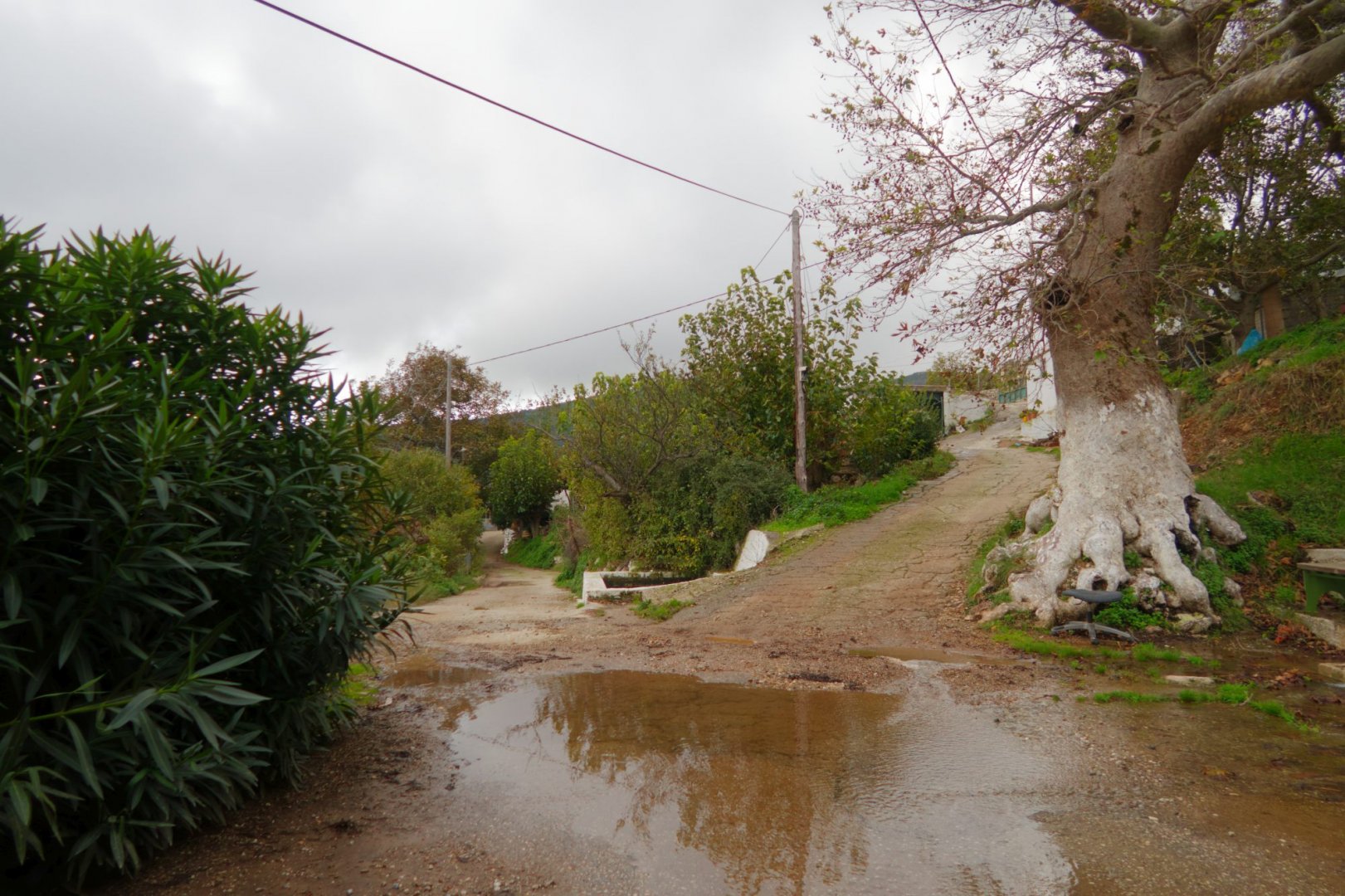 IMG_9743_DxO.jpg