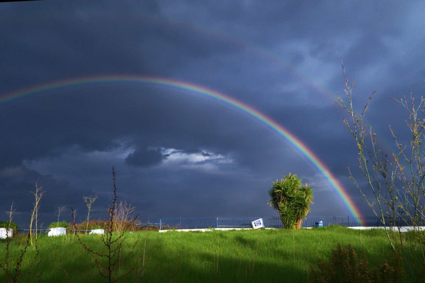 IMG_9778_DxO.jpg