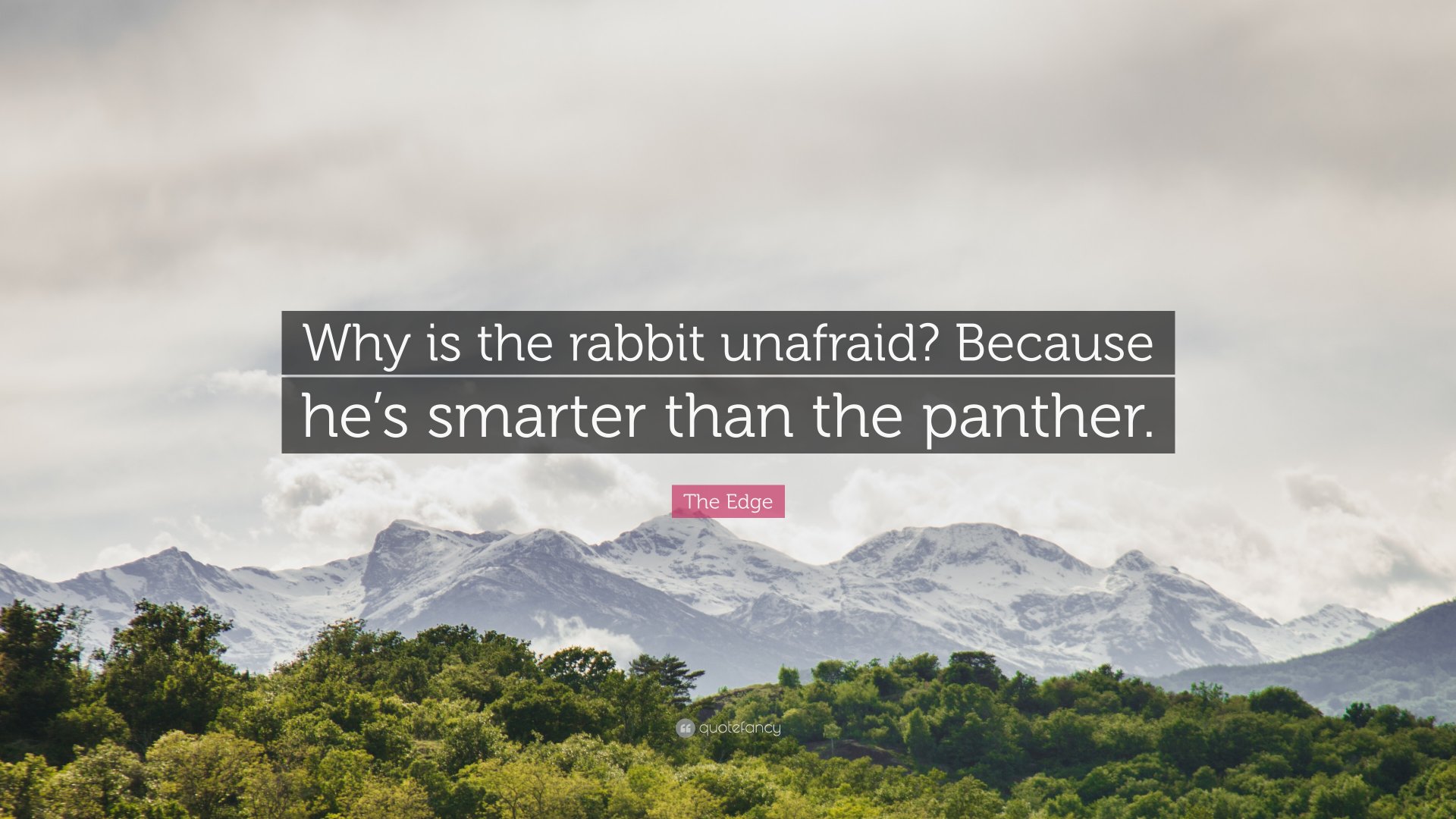 1560722-The-Edge-Quote-Why-is-the-rabbit-unafraid-Because-he-s-smarter.jpg