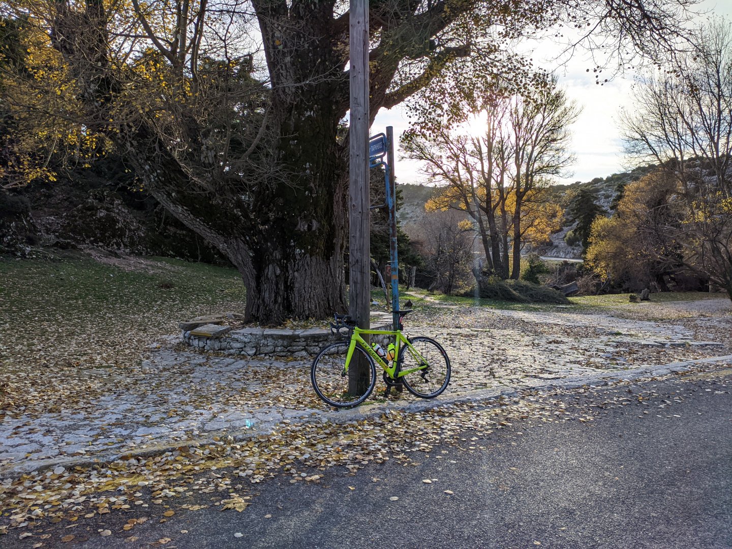 MVIMG_20201208_154239.jpg