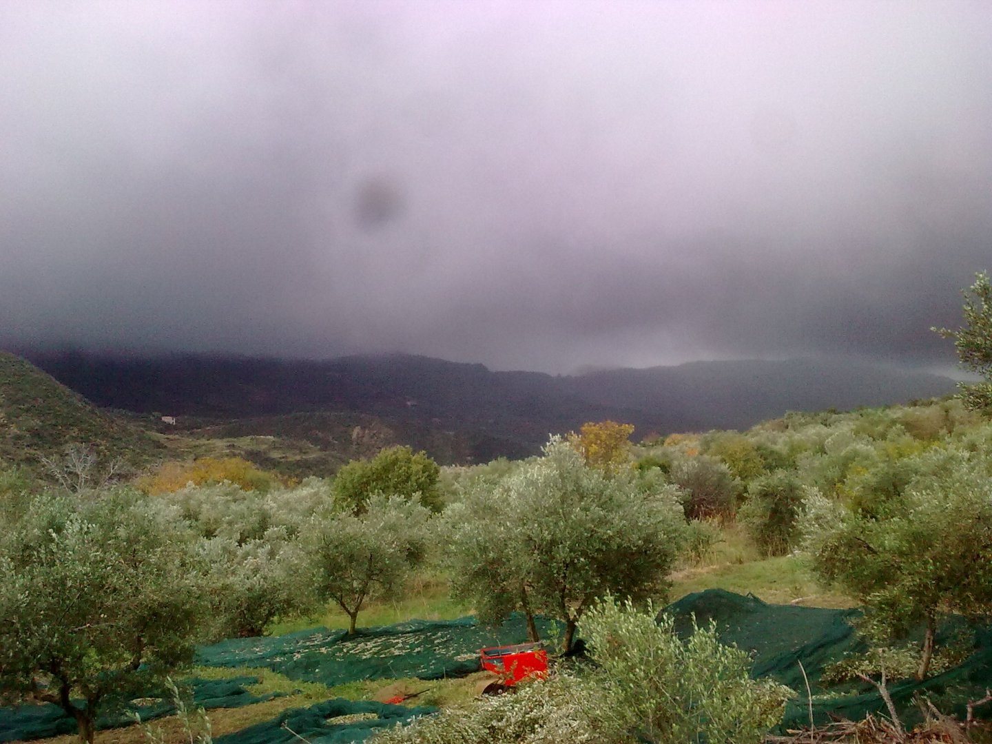Εικόνα0424.jpg