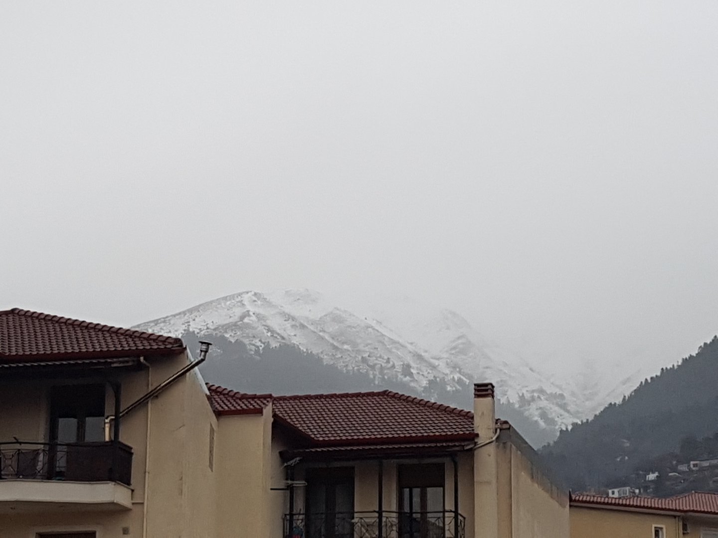 20201213_164520.jpg
