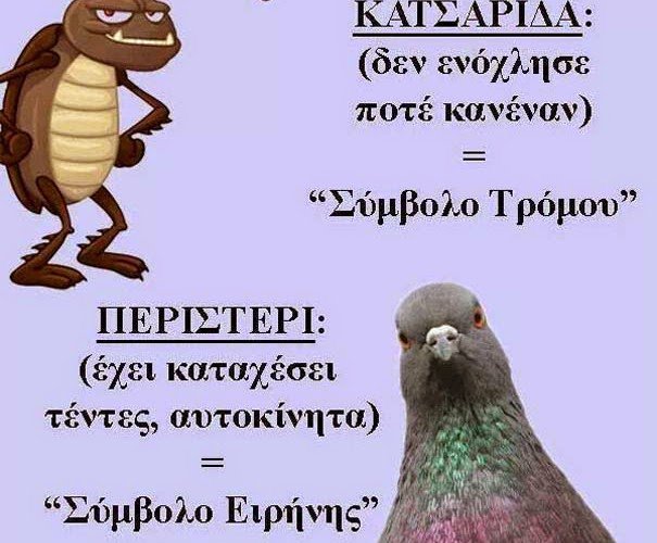 1432869614-d0eacd968d883adc1dc6bf559f69d296.jpg.8a4fb74b181496877e89f62427b81739.jpg