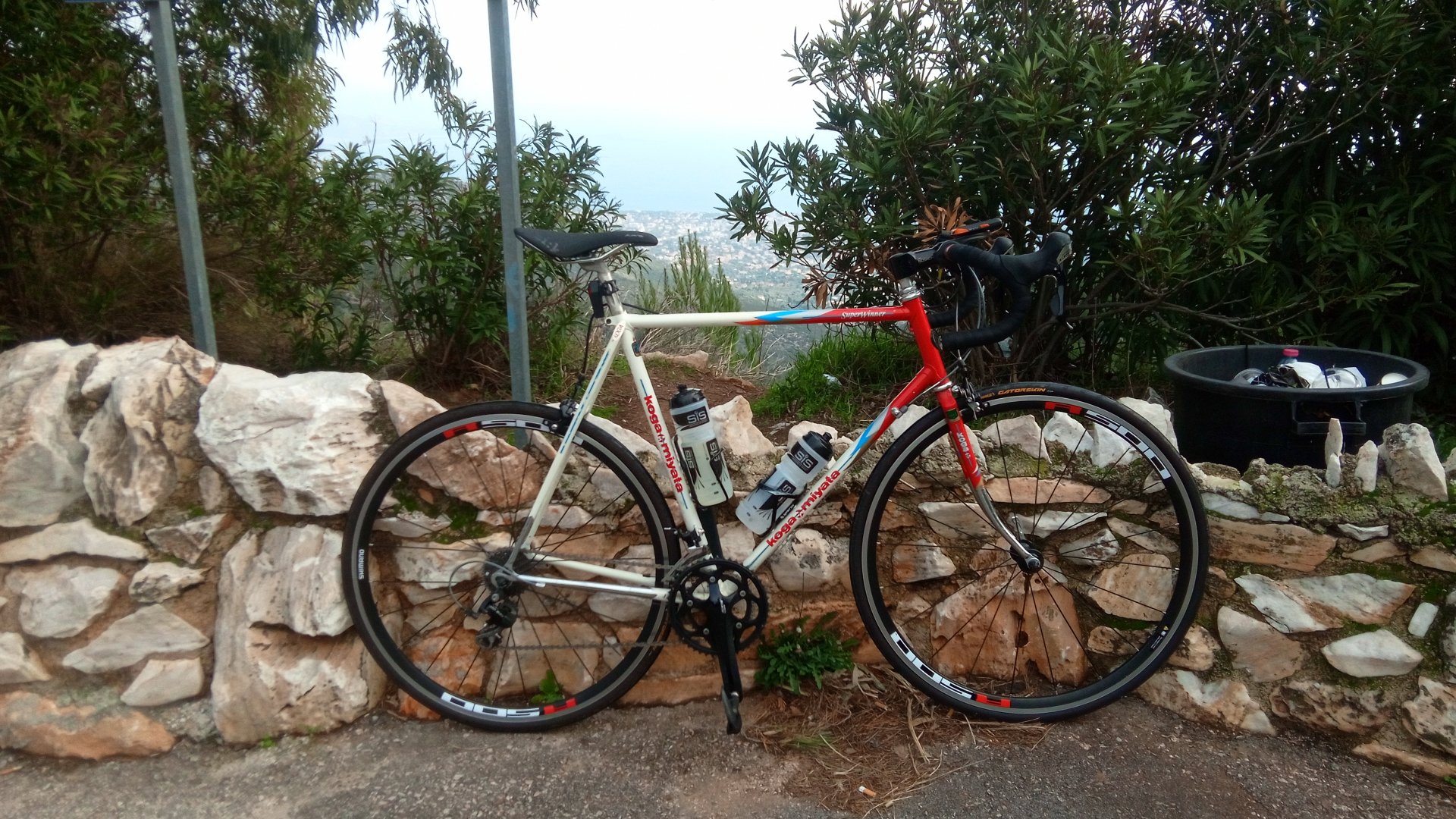 20201226_103046.jpg