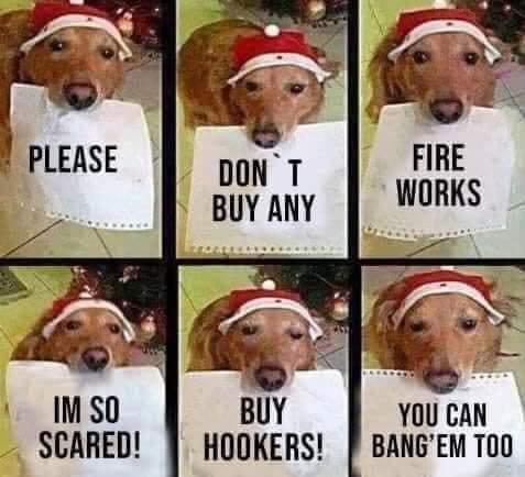 WhatsApp Image 2020-12-31 at 16.08.10.jpeg