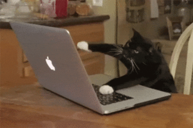 laptop-1-1.gif