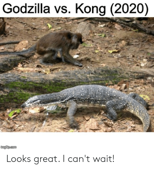 godzilla-vs-kong-2020-imgiup-com-looks-great-i-cant-wait-61795465.png