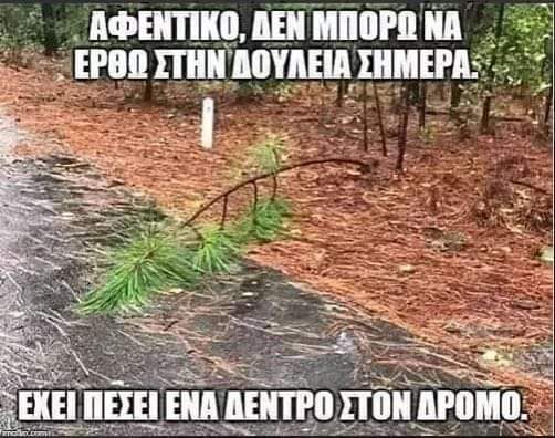 FB_IMG_1612369979150.jpg