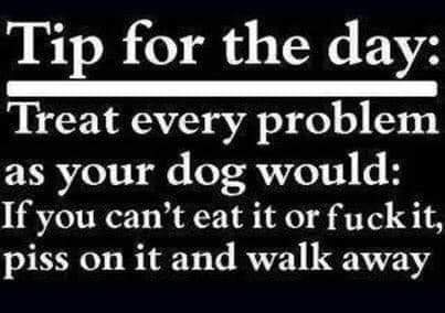 FB_IMG_1615611424997.jpg
