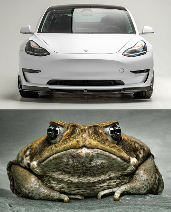 tesla_vs_toad.jpg