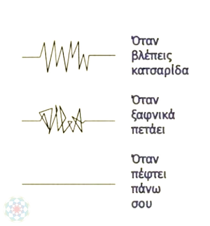 184445144_2791682974427658_8298483170626141438_n.jpg