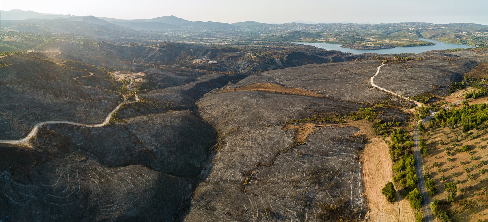 Amygdaleza-Fire-Panorama-2K.jpg