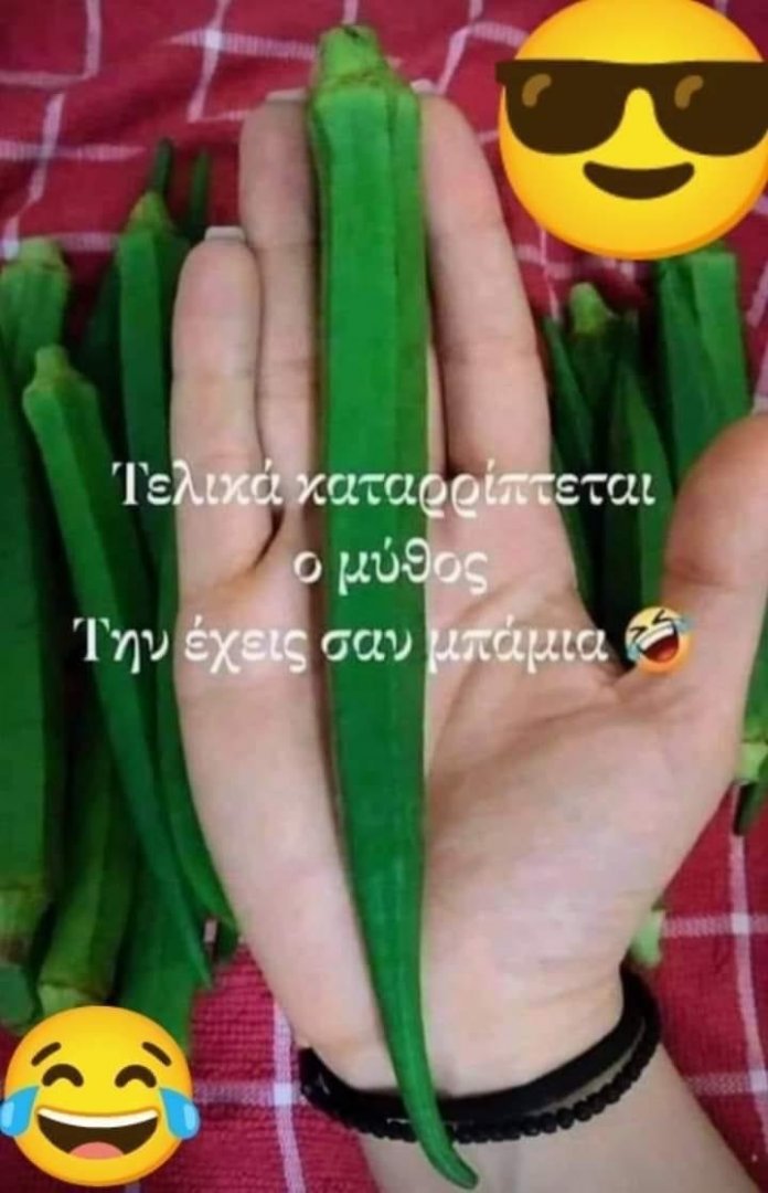 4AFEA5D9-0D7B-47C2-A6CD-016855155B0F.jpeg