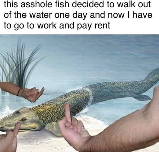 FB_IMG_1629830428789.jpg