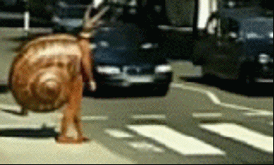 giphy (4).gif
