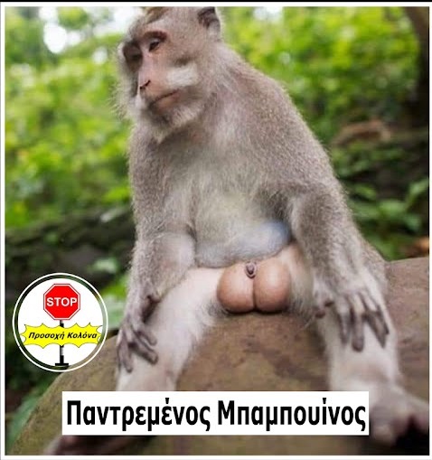 ahhzfmFzdGVpYS1hbmVrZG90YS1hdGFrZXNyEwsSBkFzdGVpbxiAgIDy4e-TCQw.jpg