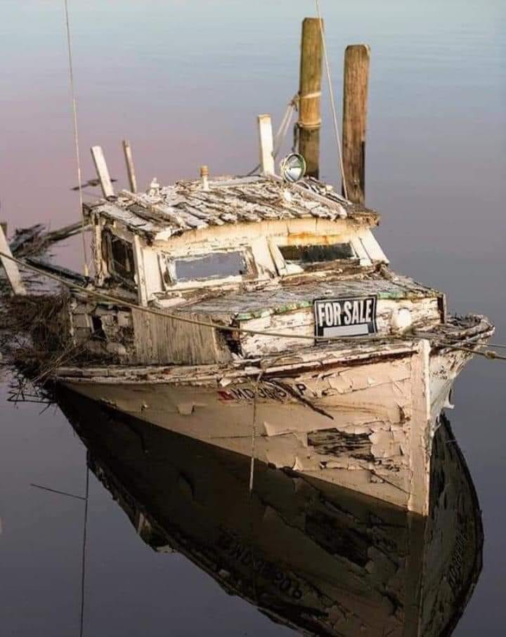 boat.jpg