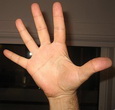 338px-Single_Moutza.jpg