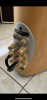 6EF62C4B-D634-4A3D-98A3-CDF04DB6EAA9.png