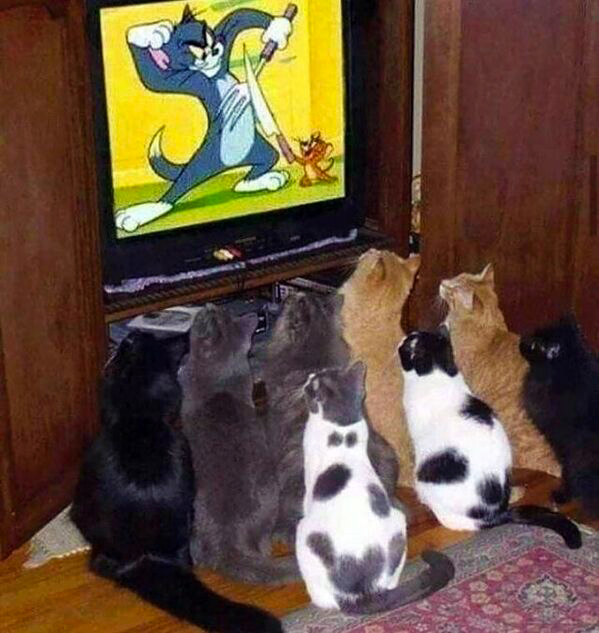 -----.jpg