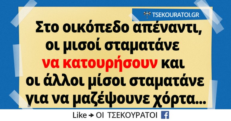 οικόπεδο.jpg