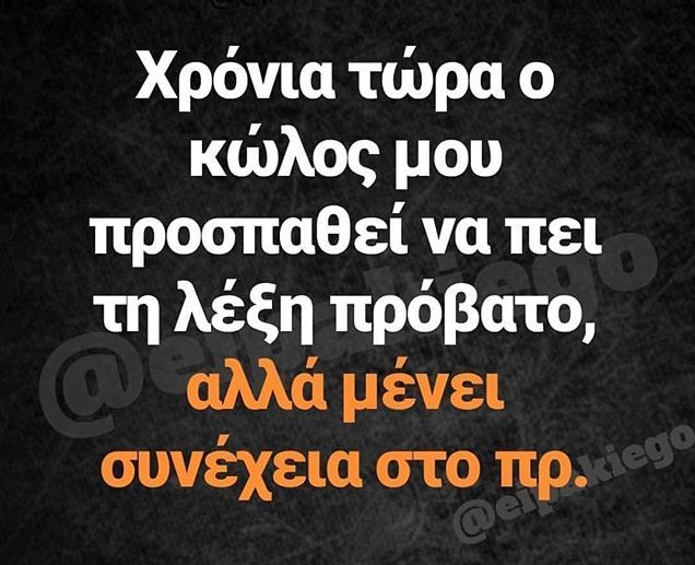 1212c3f5b10bc67bcc7fffc91730b8ca.jpg