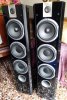 FOCAL CHORUS V front.jpg