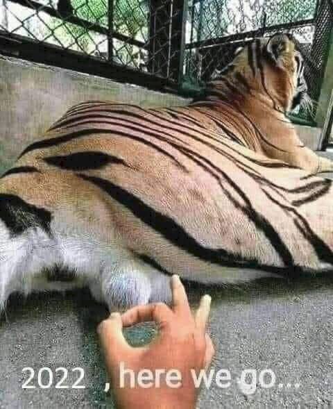 1641085870723.png