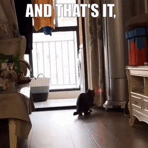 0000006549.gif