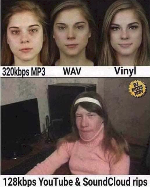 1645491487621.png