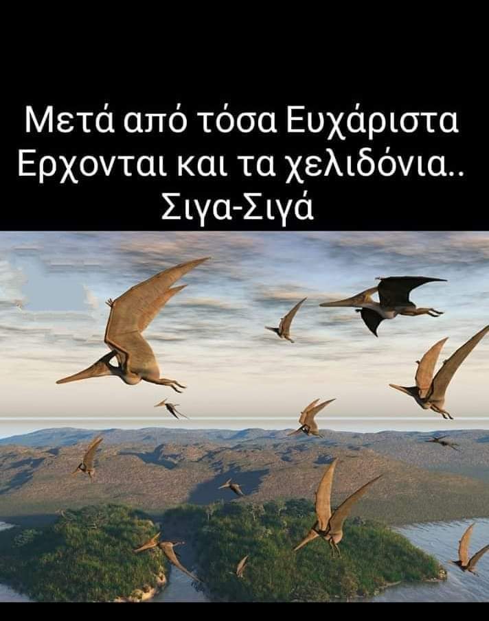 FB_IMG_1646066809721.jpg