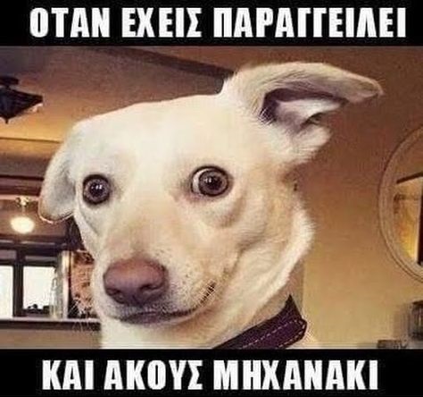 349c046a32b0f9f6759029a7c0fe053f.jpg