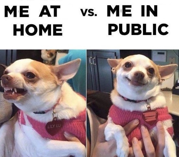 meme2-7.jpg