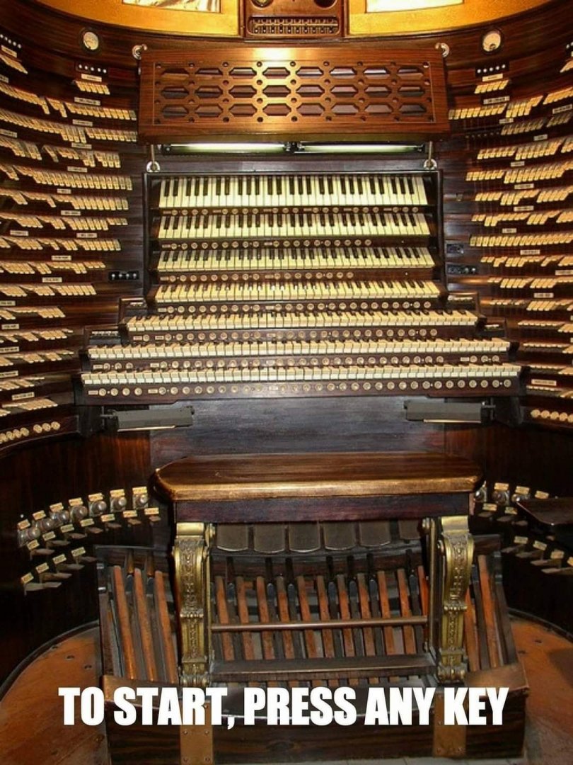 organ.jpg