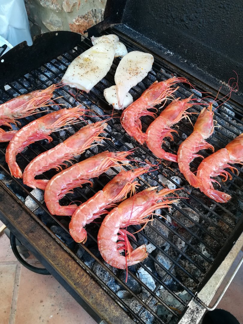 IMG_20220307_140539.jpg