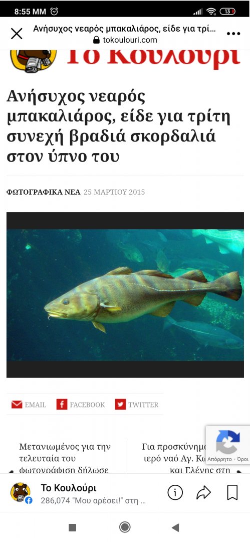 Screenshot_2022-03-25-20-55-30-492_com.facebook.katana.jpg