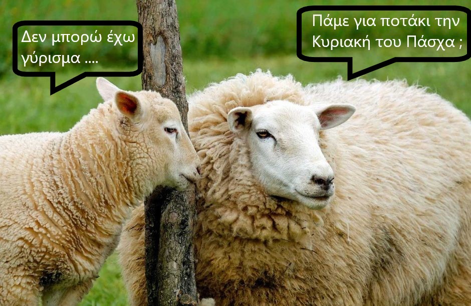 provata-malli-940x612.jpg