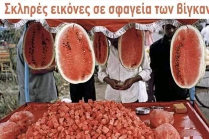 FB_IMG_1651582093274.jpg