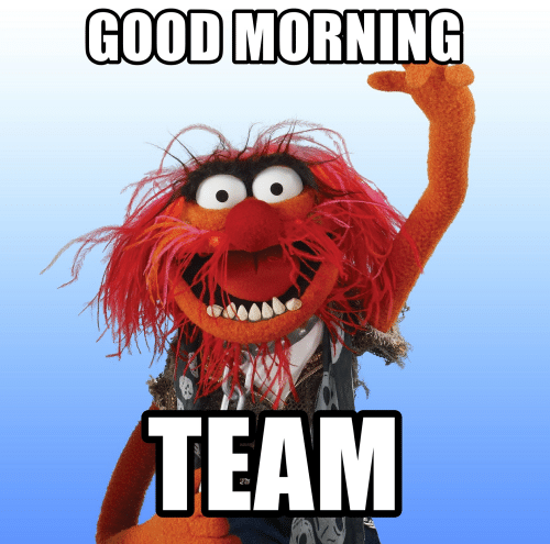 good-morning-team-memegenerator-net-good-morning-team-animal-the-49200986.png