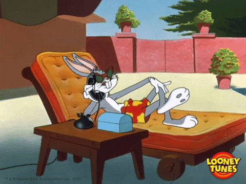 giphy (1).gif