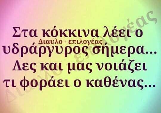 FB_IMG_1659642475398.jpg