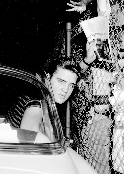 Elvis at the Los Angeles airport, August 16, 1956..png