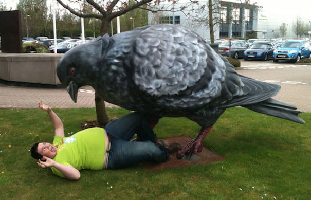 ee728733-save-me-from-the-giant-pigeon.jpg