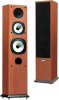 acoustic_energy-acousticenergyaegisevo3.jpg