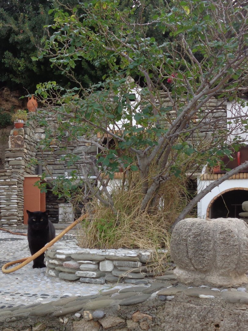 DSC02988.JPG