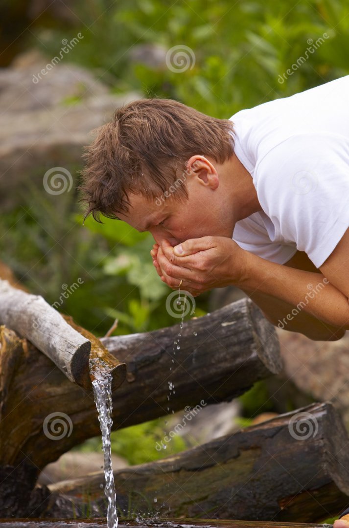 drinking-water-stream-2716753.jpg
